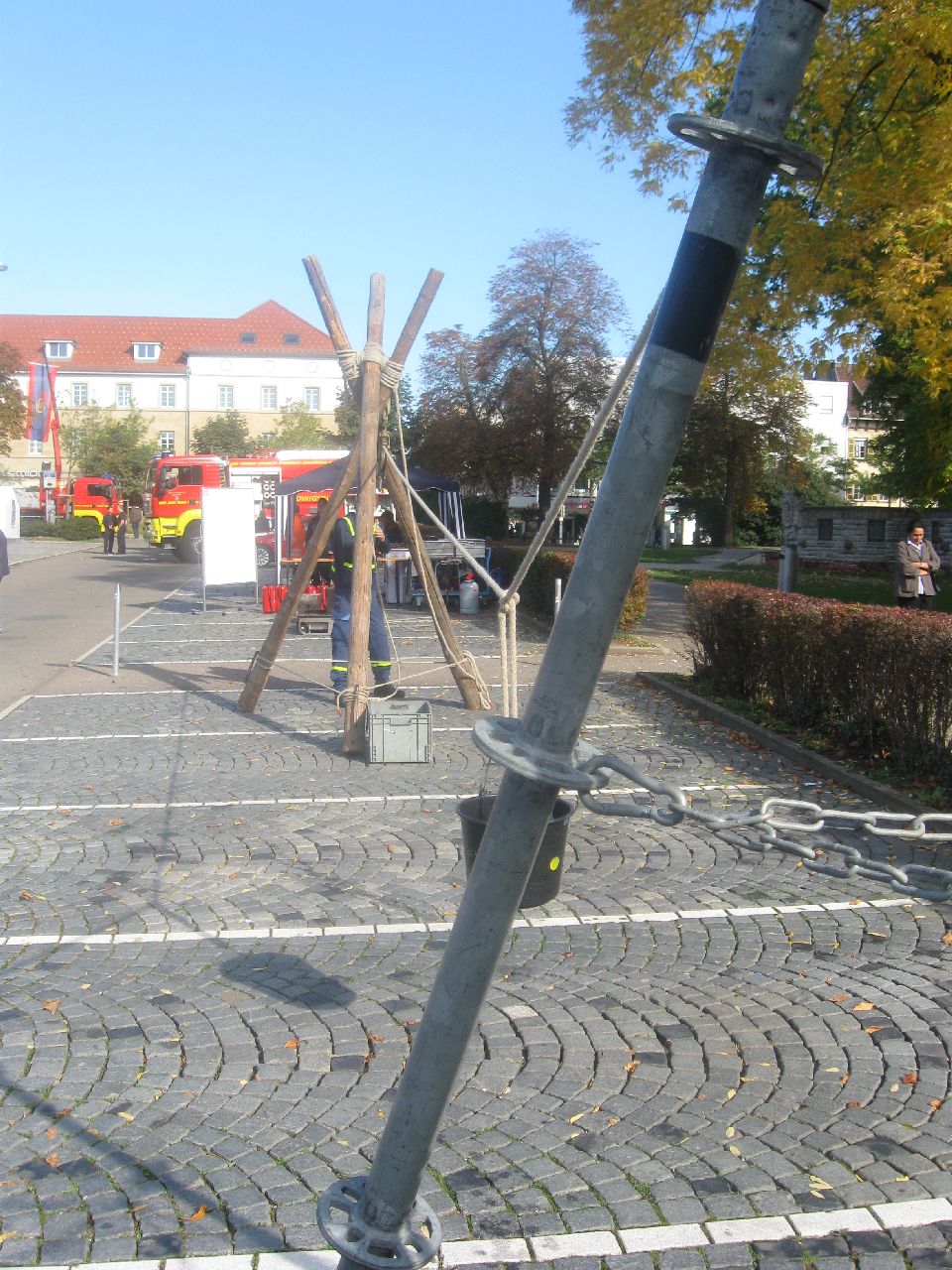 Strahlender Sonnenschein und Kastanien